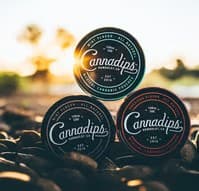 Mango Hybrid Cannadips