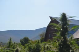 Smugglers Notch Cannabis logo