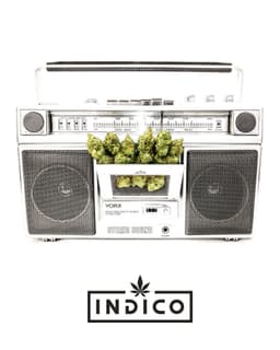 Indico logo
