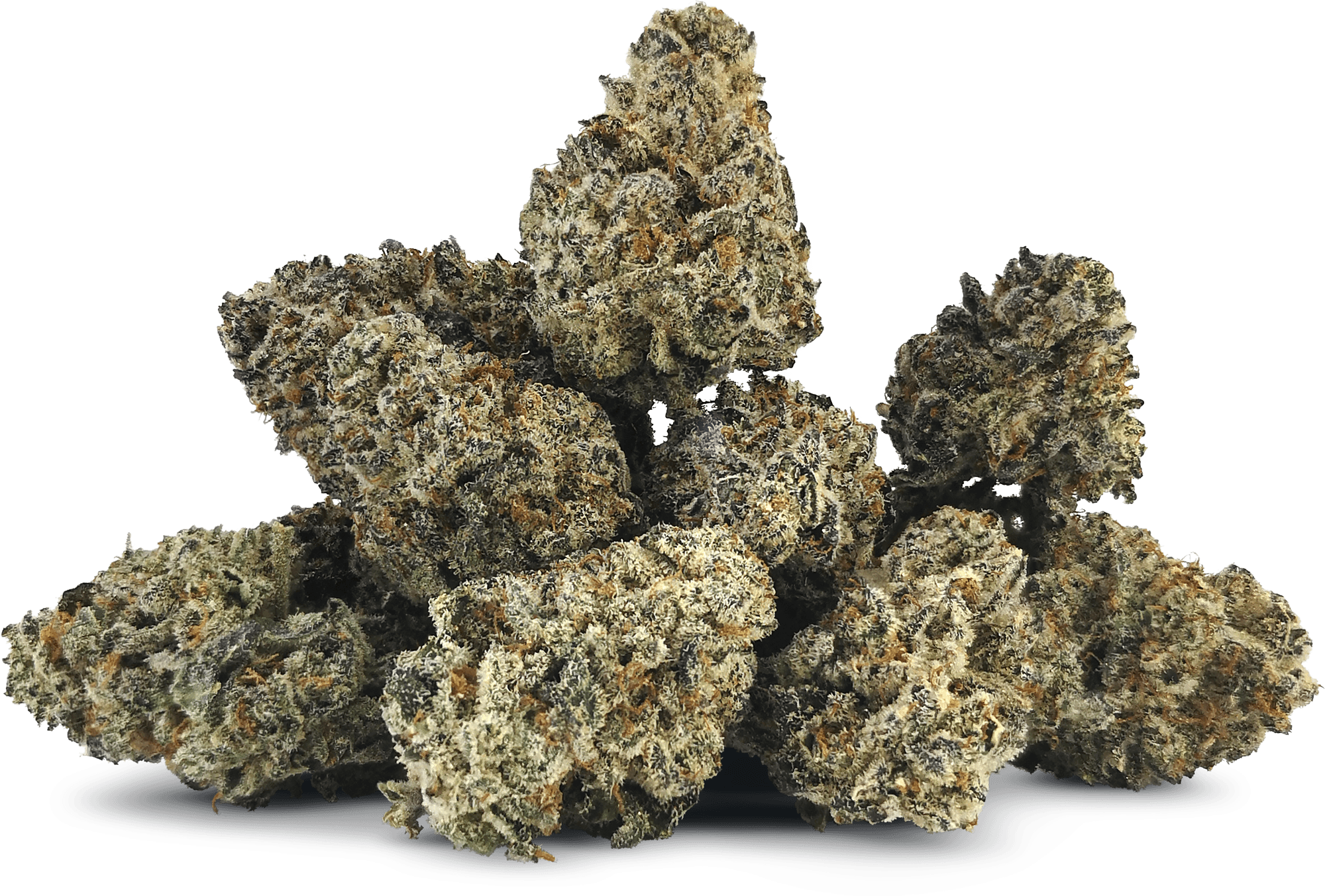 Cadillac Rainbow Bulk Flower