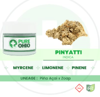 Pinyatti