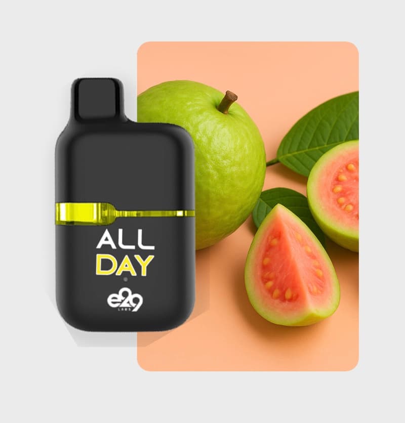 Day All In One Guava