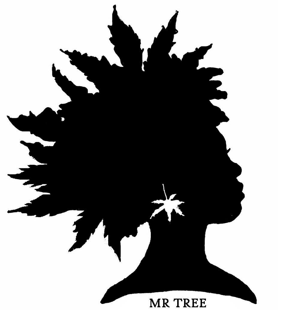 Infused Pre Roll Bb3 Bread