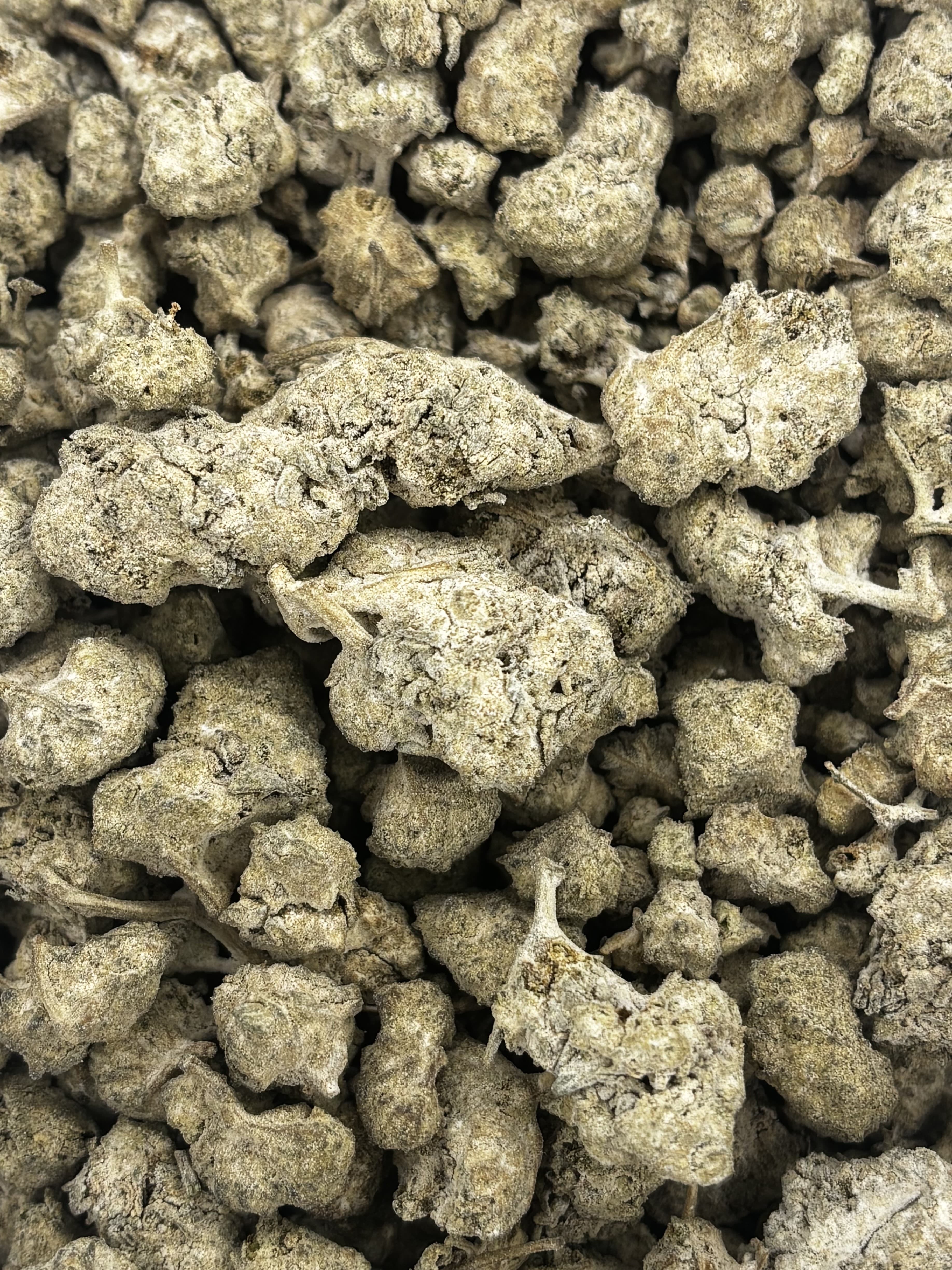 Krack Rockz Green Bay Grape
