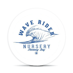 Wave Rider Nursery logo