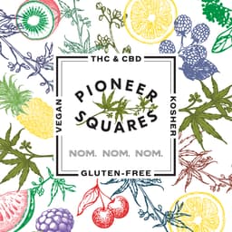 Pioneer Squares logo