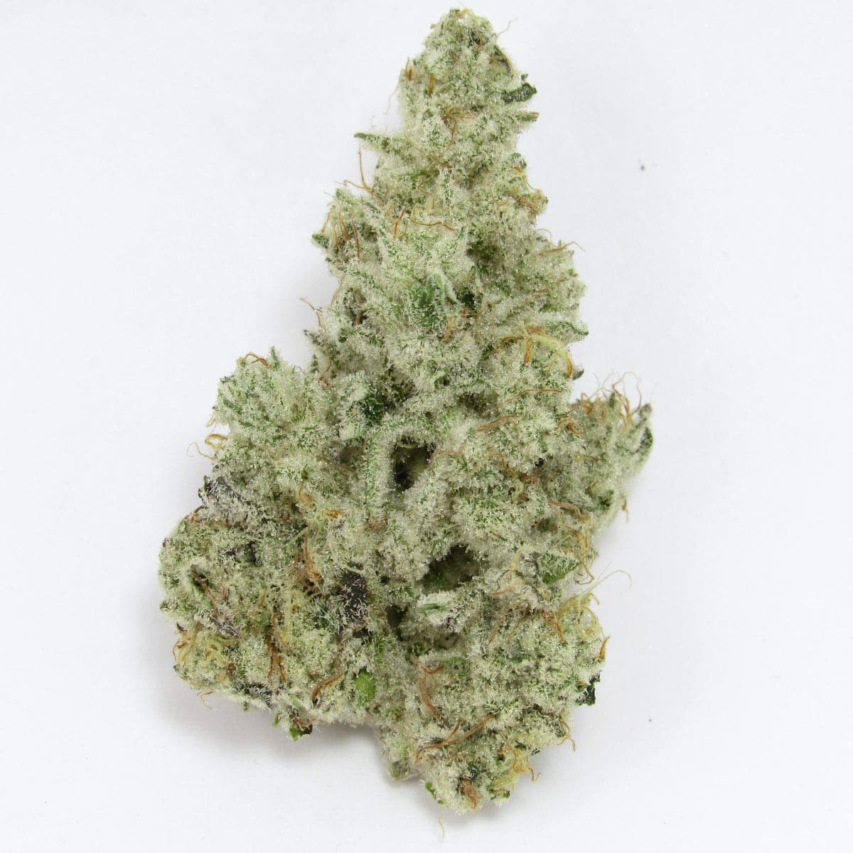 Co. Cap Junky Hybrid