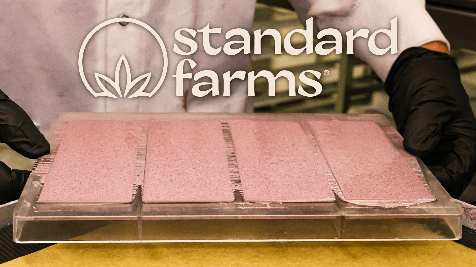SF: Strawberry Cheesecake 1:1: THC:CBN White Chocolate Bar
