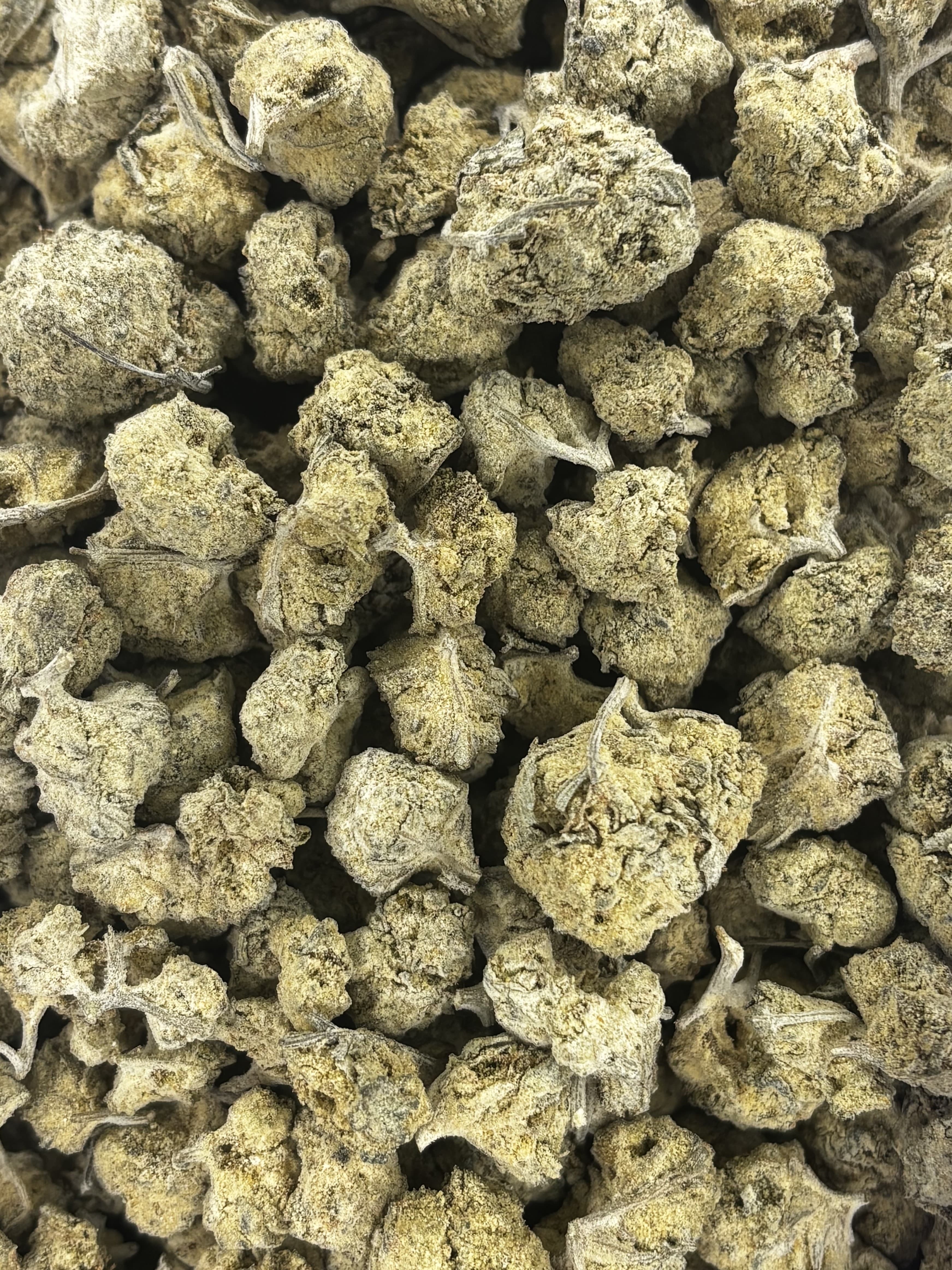 Krack Rockz Chicago Blues Thca