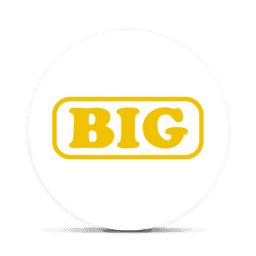 BIG logo