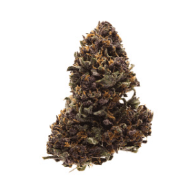 Eff! Boof Tart Flower