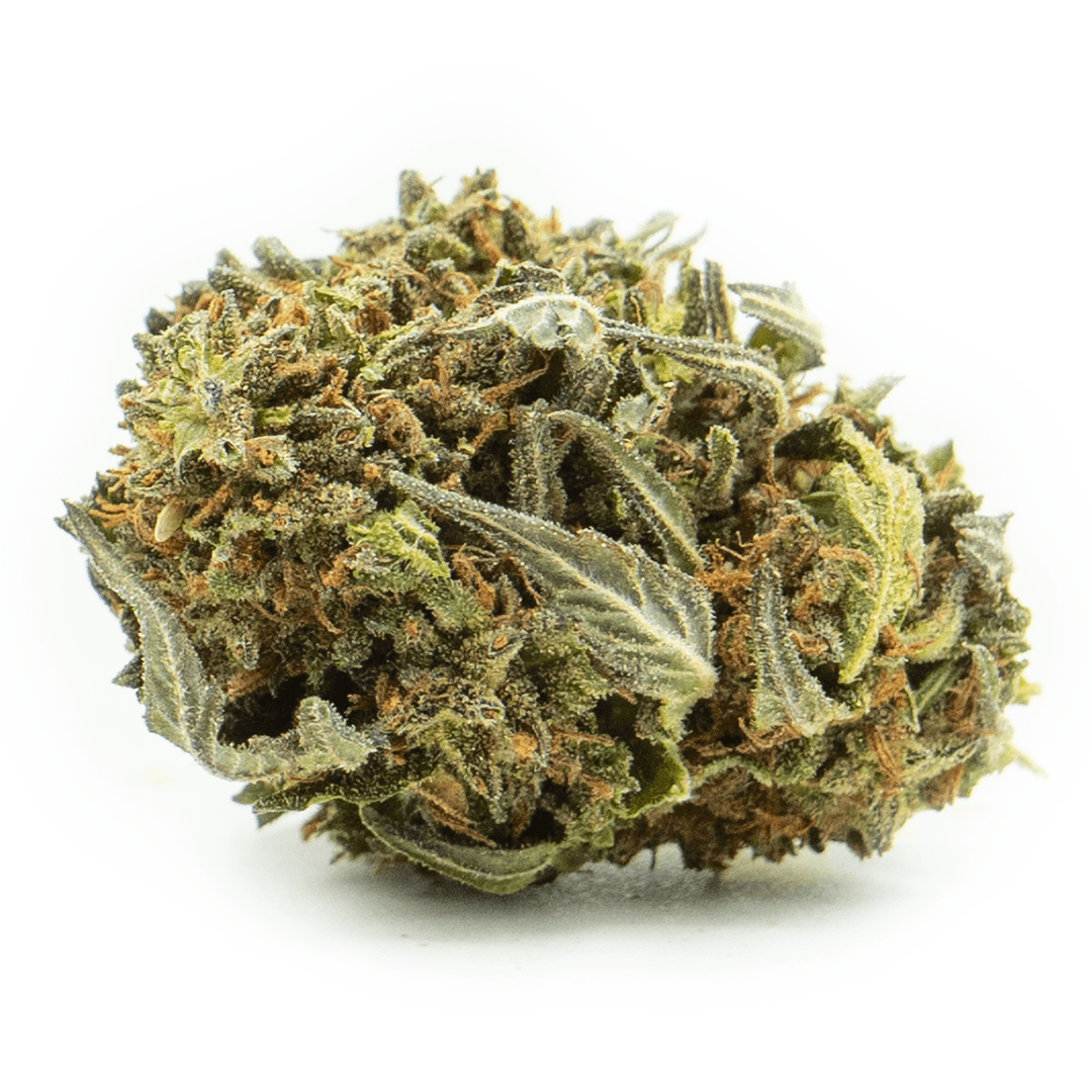 Apple Fritter