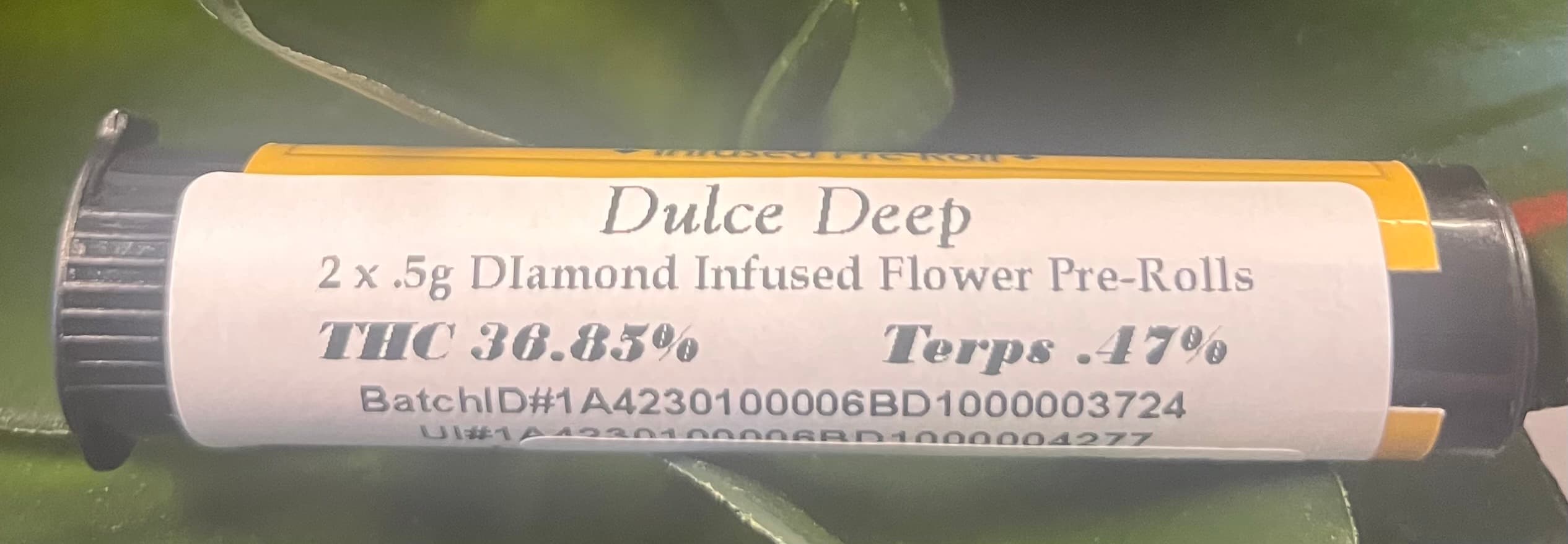 Dulce Deep Infused Pre Roll