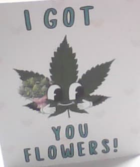 Got You Flowers Card