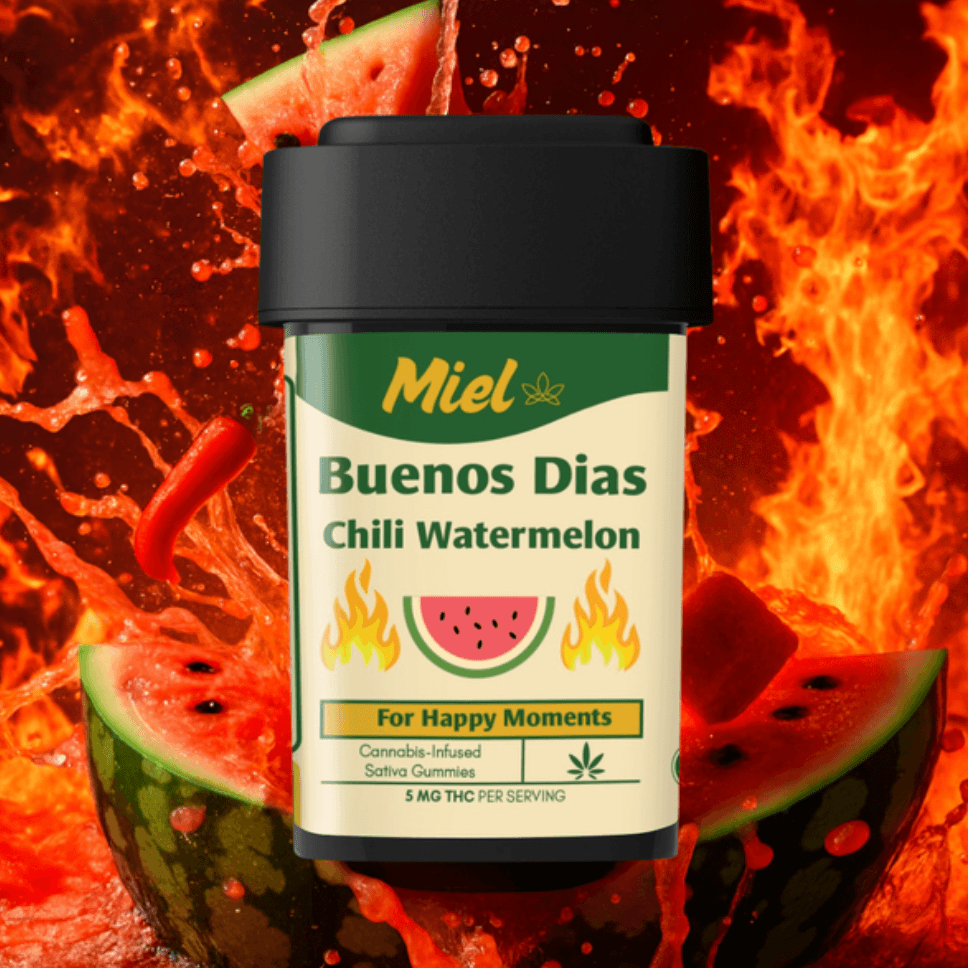 Buenos Dias Chili Watermelon Sativa
