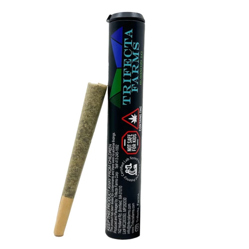 Lemon Cherry Sherbet Pre Roll