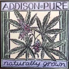 Addison Pure logo