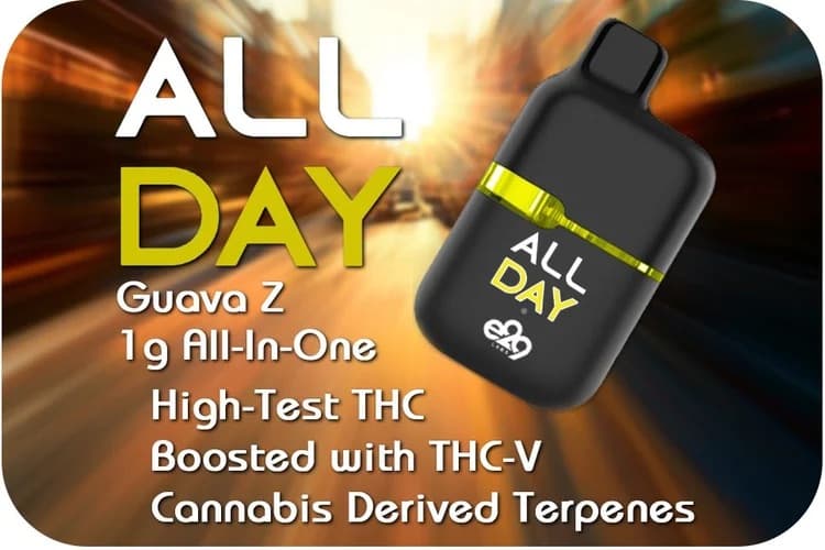 All Day Aio Vape Guava