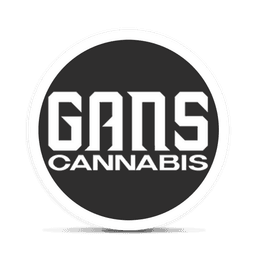 GANS logo