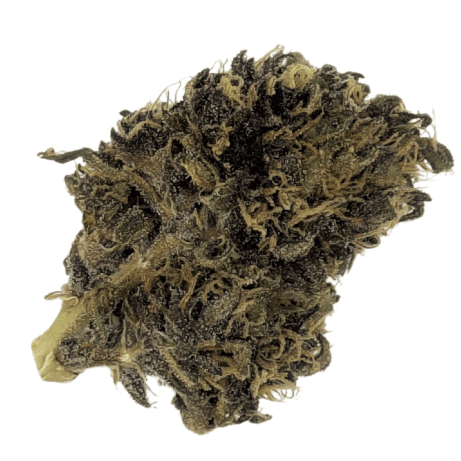 Gmo Berry 1/8 Outdoor Flower