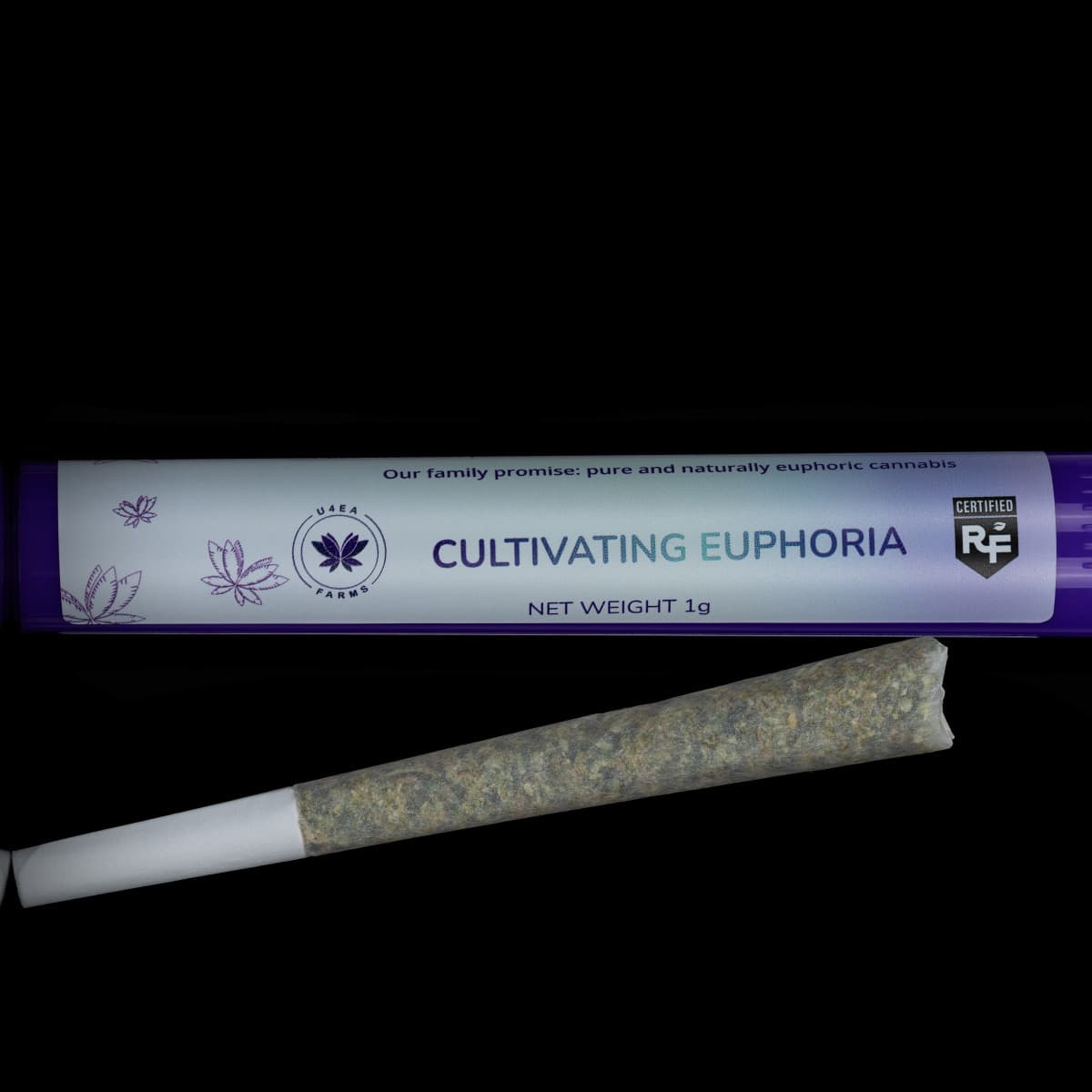 Bubble Hash Infused Pre Rolls