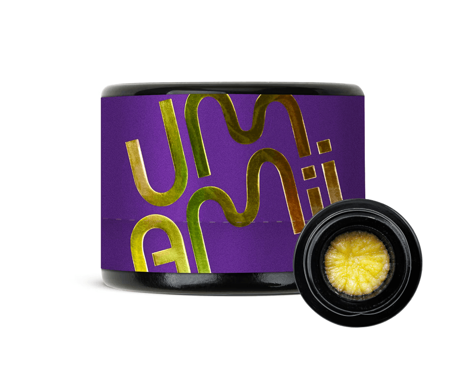 Biscotti Pie Live Rosin Concentrate