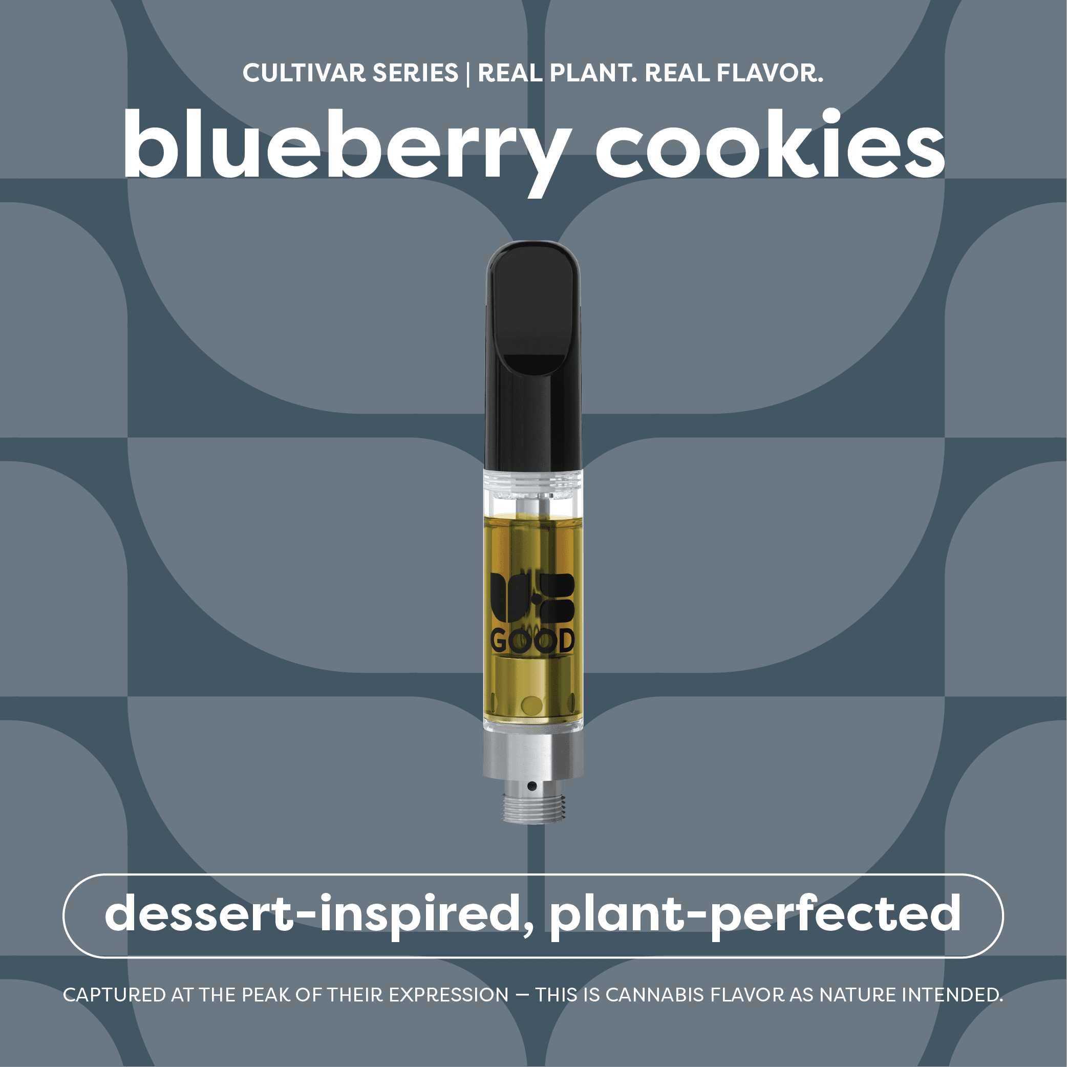 Blueberry Cookies Cart (1g)