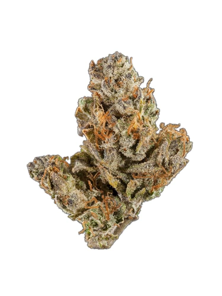 Sunset Sherbert