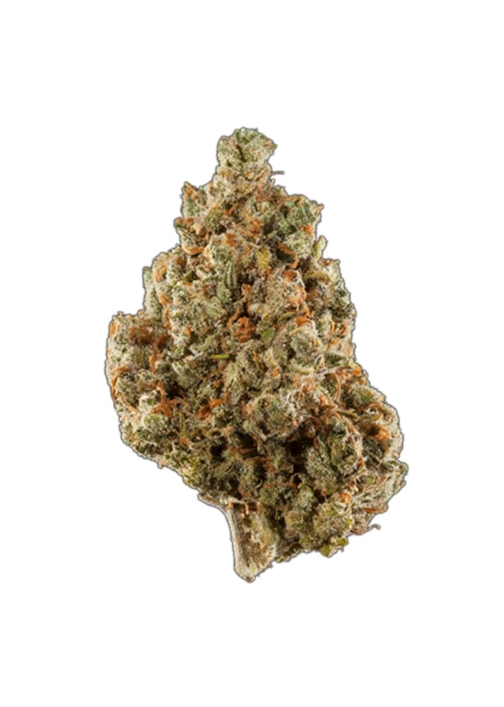 Slurricane