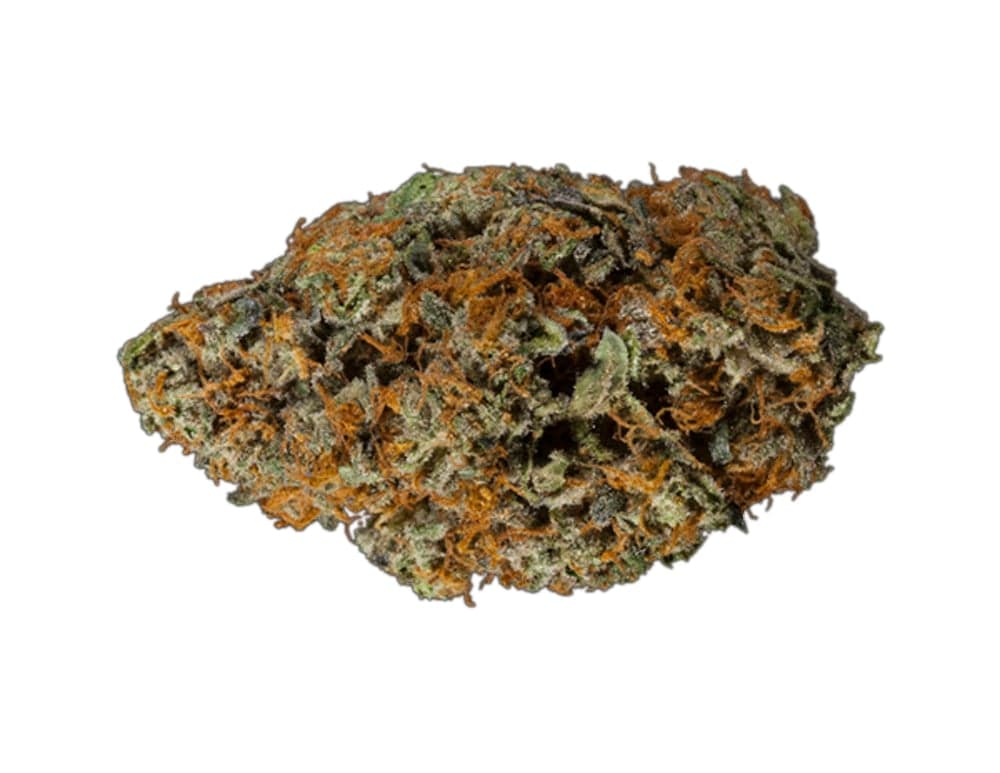 Gelato