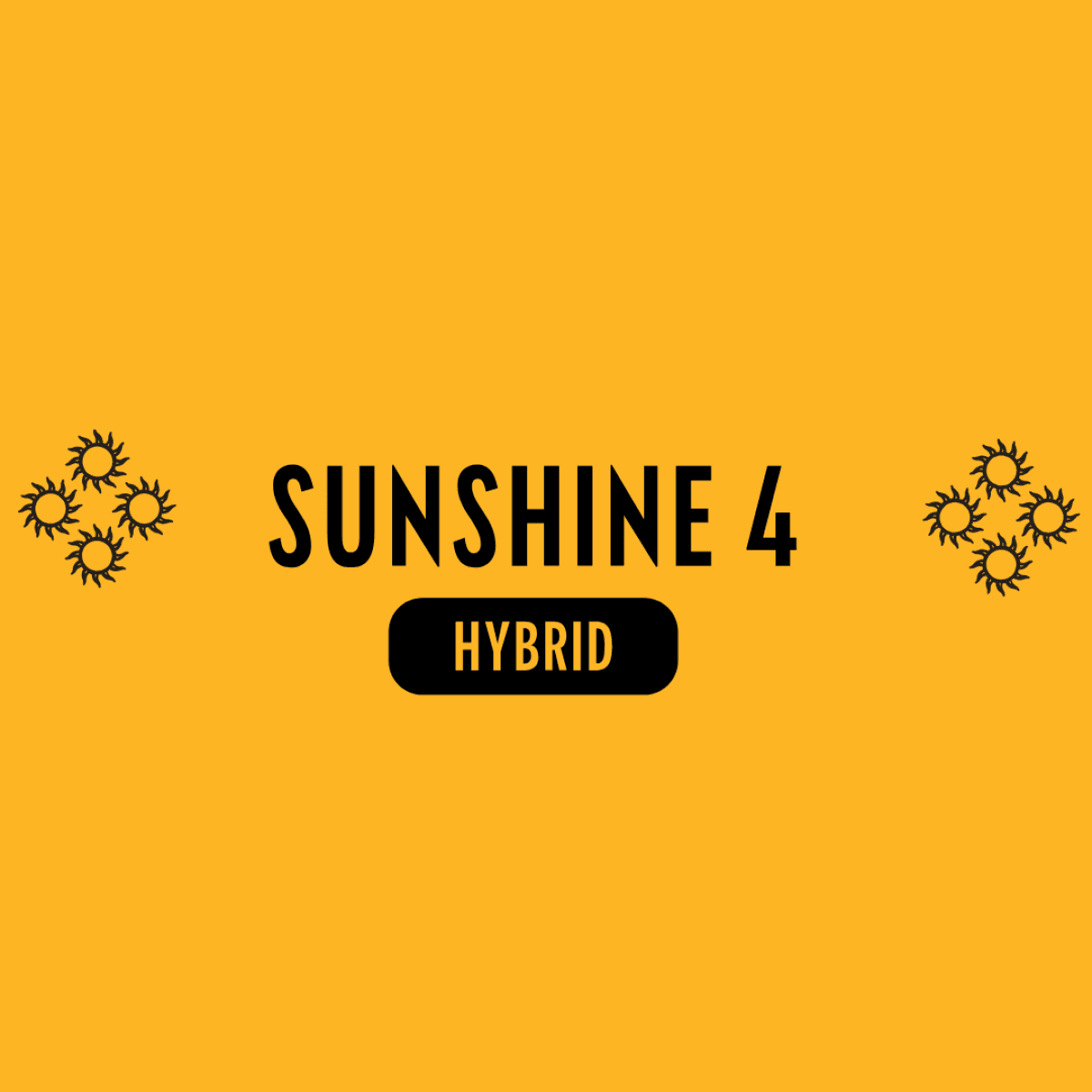 Infused Pr 1.15g Sunshine #4